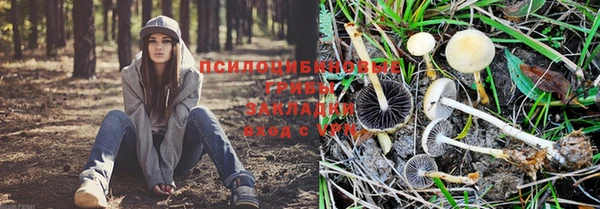 прущая мука Арсеньев