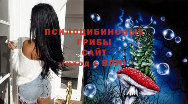 мяу мяу мука Армянск