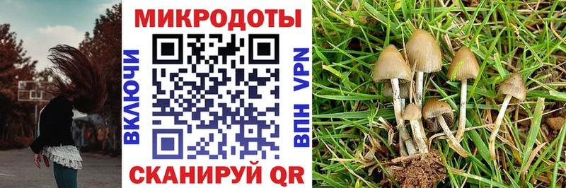 Галлюциногенные грибы Magic Shrooms  хочу наркоту  Арск 